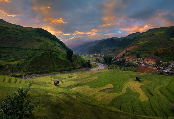 Rice-fields-prepare-the-harvest-at-Northwe